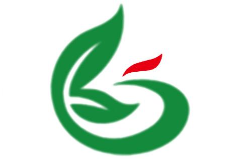 张毅涛 以网络技术服务驱动企业营销新增长